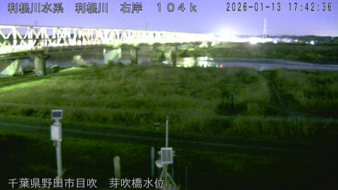 tonme2026011318_image