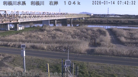 tonme2026011408_image