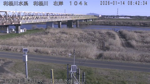 tonme2026011409_image