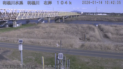 tonme2026011411_image