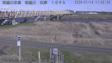 tonme2026011412_image