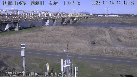 tonme2026011414_image