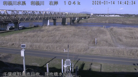 tonme2026011415_image