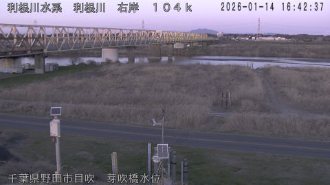 tonme2026011417_image