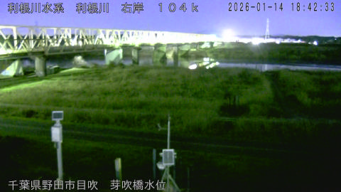 tonme2026011419_image