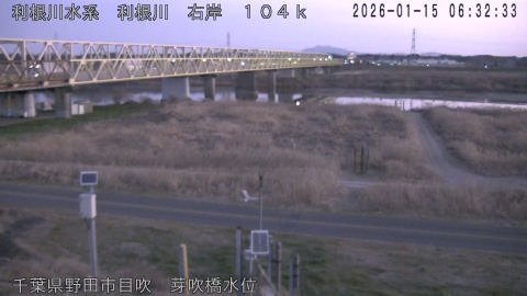 tonme2026011507_image