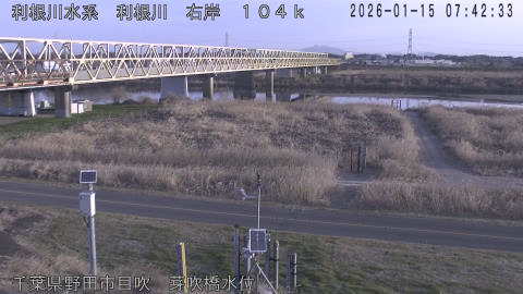 tonme2026011508_image