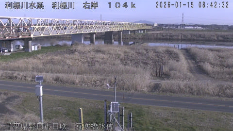 tonme2026011509_image