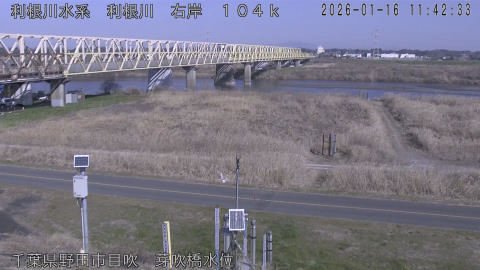 tonme2026011612_image