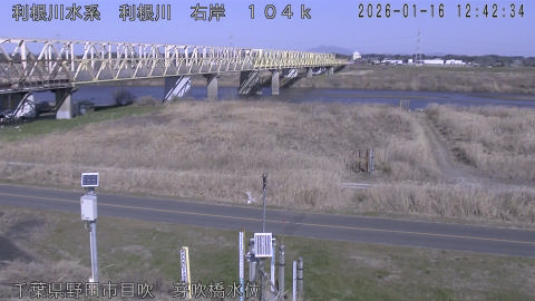 tonme2026011613_image