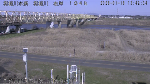 tonme2026011614_image