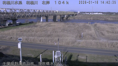 tonme2026011615_image