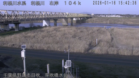 tonme2026011616_image