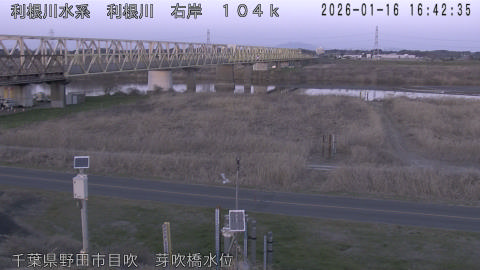 tonme2026011617_image