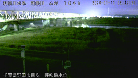 tonme2026011706_image