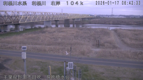 tonme2026011707_image