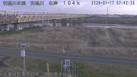 tonme2026011708_image