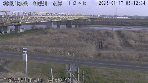 tonme2026011709_image