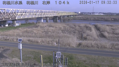 tonme2026011710_image