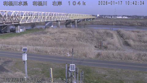 tonme2026011711_image