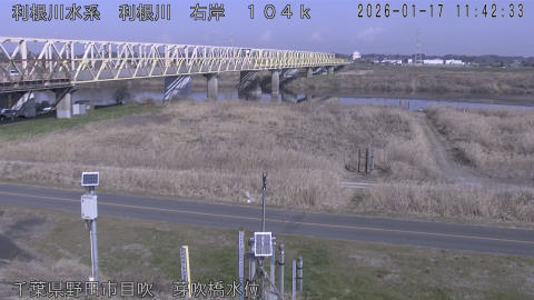 tonme2026011712_image