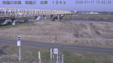 tonme2026011713_image