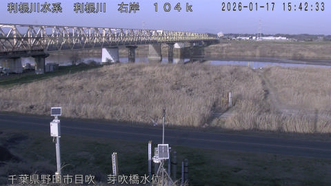 tonme2026011716_image