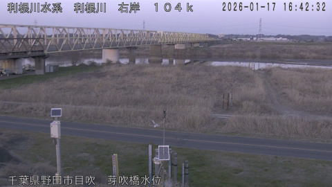 tonme2026011717_image