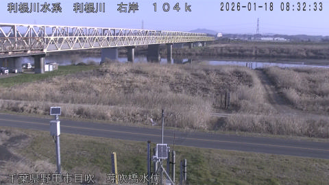 tonme2026011809_image