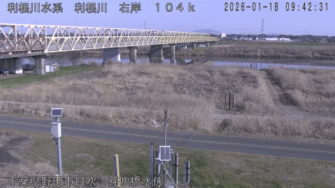 tonme2026011810_image