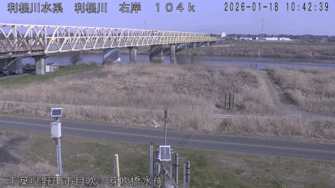 tonme2026011811_image