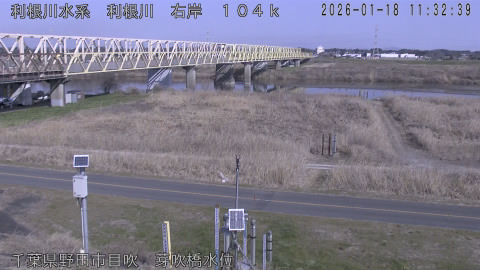 tonme2026011812_image