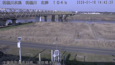 tonme2026011815_image