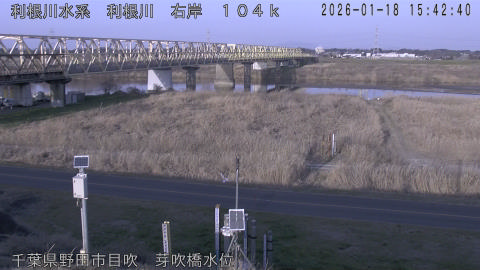 tonme2026011816_image