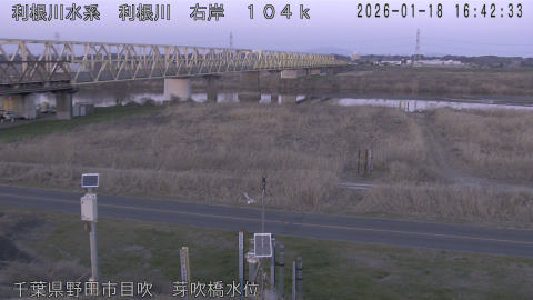 tonme2026011817_image