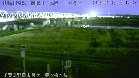 tonme2026011900_image