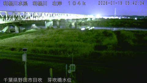 tonme2026011906_image