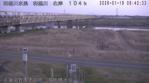 tonme2026011907_image