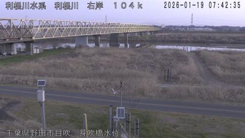 tonme2026011908_image