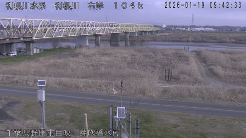 tonme2026011910_image