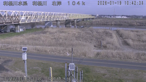 tonme2026011911_image