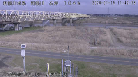 tonme2026011912_image