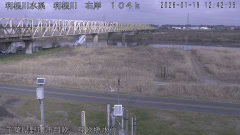 tonme2026011913_image