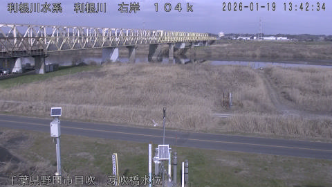 tonme2026011914_image