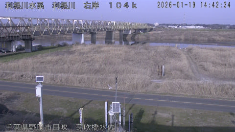 tonme2026011915_image