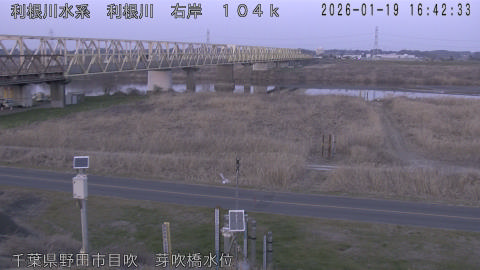 tonme2026011917_image