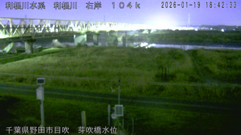 tonme2026011919_image