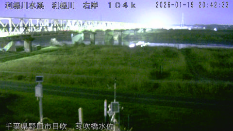 tonme2026011921_image