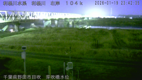 tonme2026012000_image