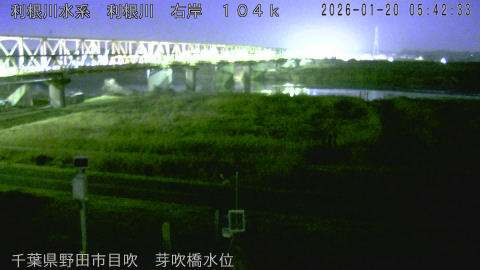 tonme2026012006_image